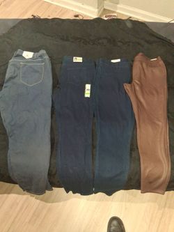 Women's pants (new)