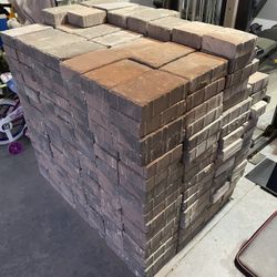 Brick Pavers.  (350+).   6x9