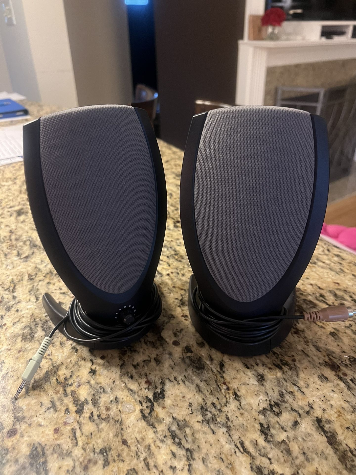 Computer Speakers