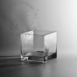 Glass Cube Vase 4”