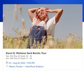 Karol G August 25th 1 Ticket Section 144