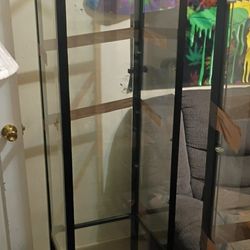 a TV standThis is an IKEA KLINGSBO glass-door cabinet in black with clear glass. 

