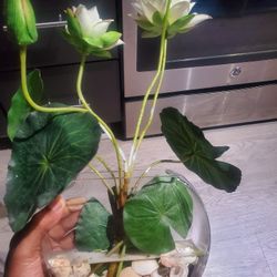 Nice Artificial Seashell House Plant Decor 