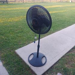 Fan