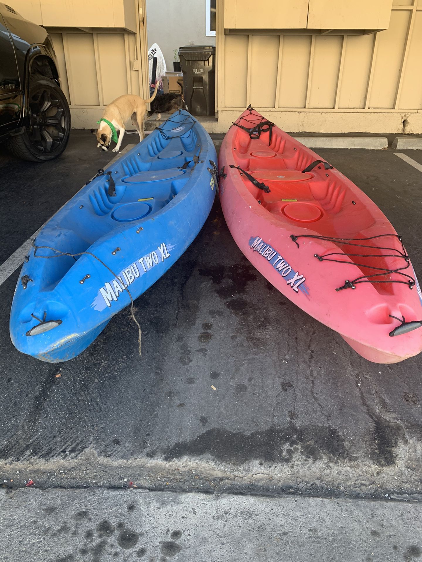 Kayaks Malibu Two XL
