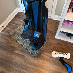 Great condition gold bag with backpack attachment