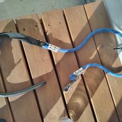 Free Dog Leash Handle Needs Mended 