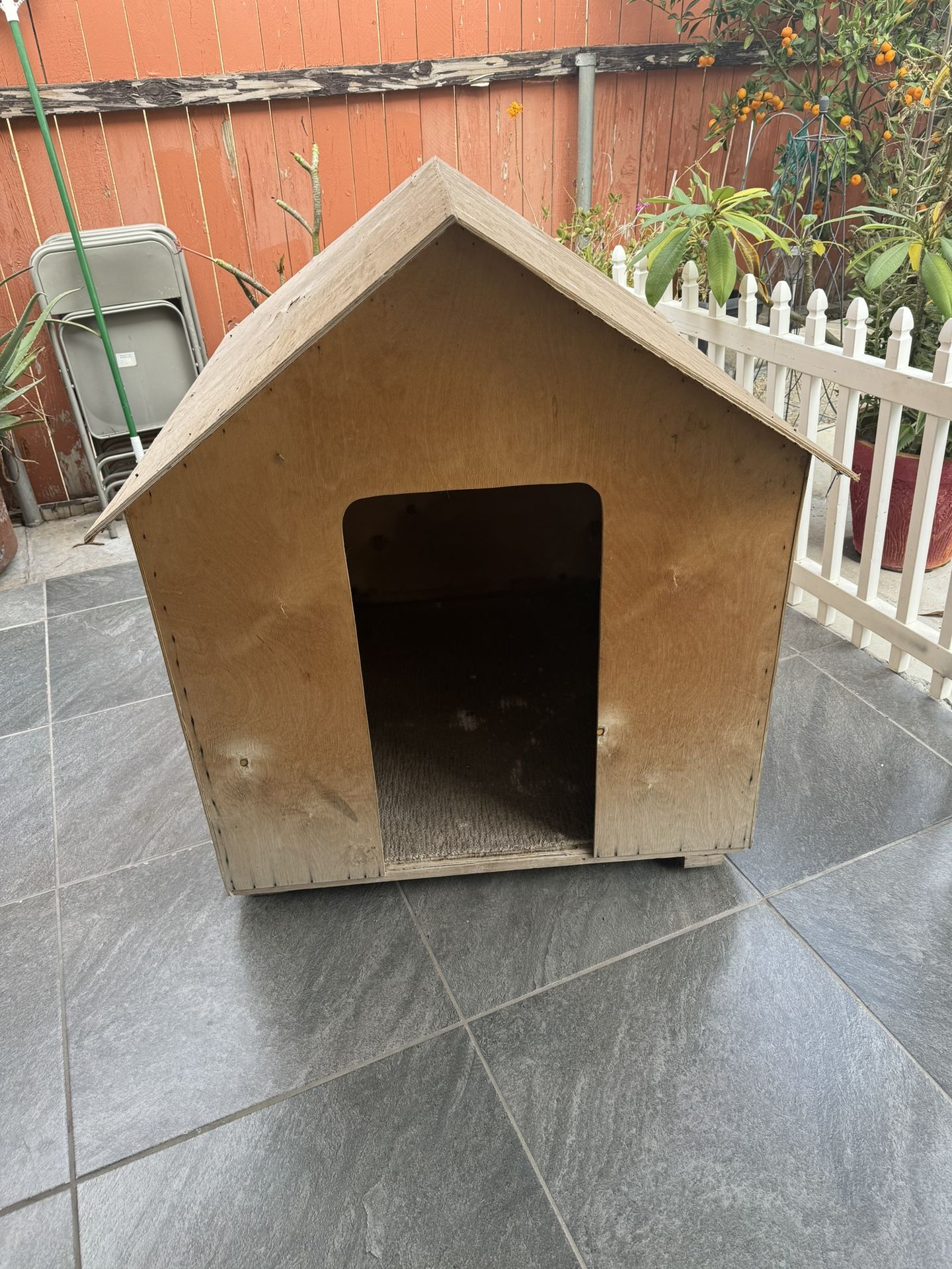 Dog House