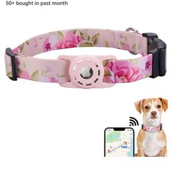 Collar With Airtag Holder