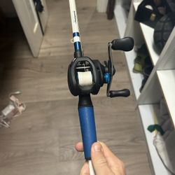 Shimano Slx with Shakespeare rod