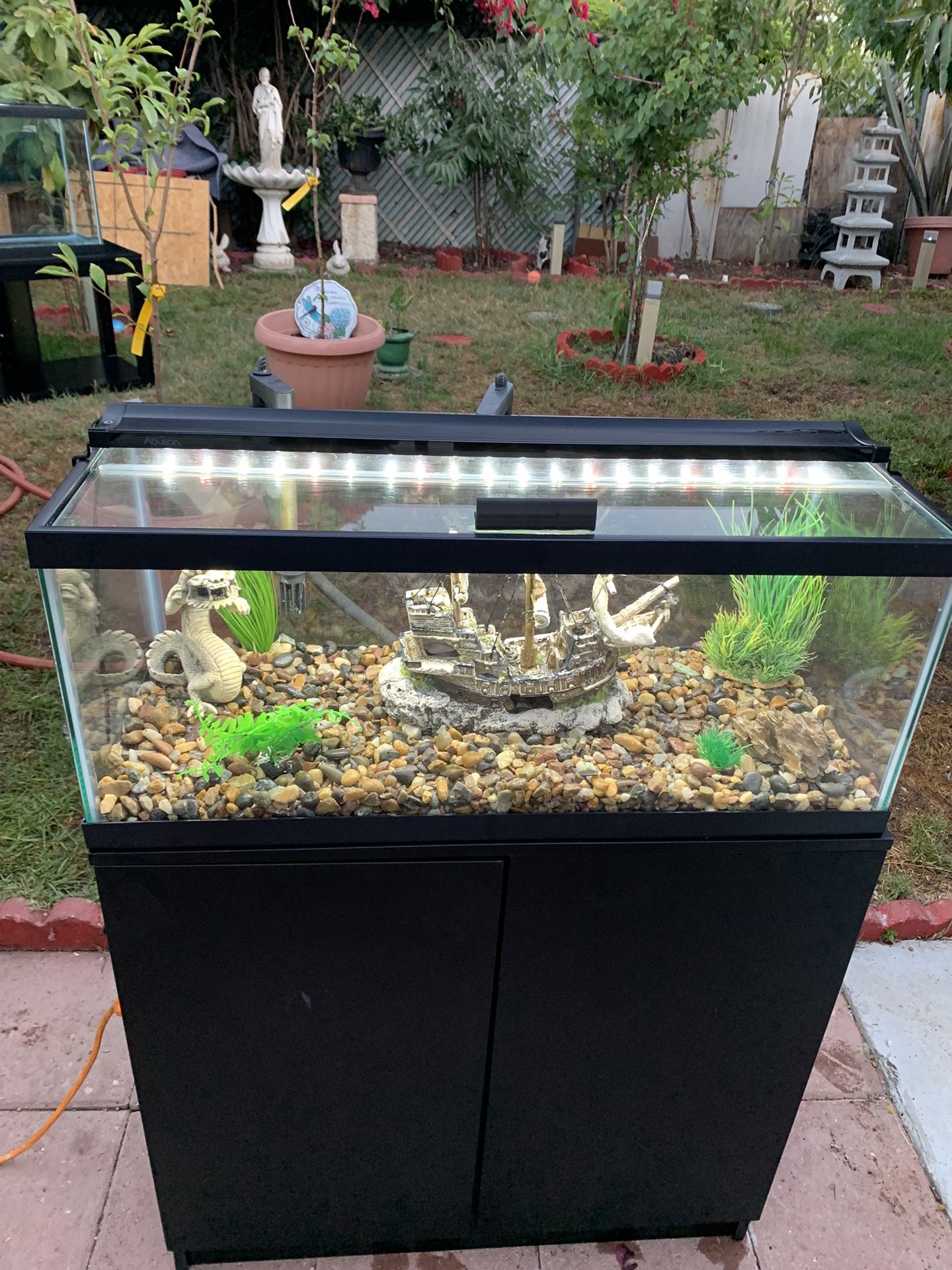 20 Gallon Long Fish Tank 20 Gallon Long Fish Tank Set Up For Sale In 20-gallon-long-aquarium-review-aquarium-dimensions