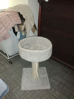 Brand new cat tree