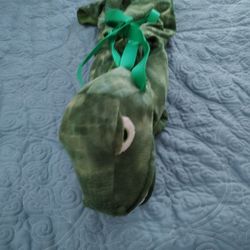 Dinosaur Halloween Costume 