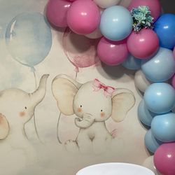 Gender reveal decorations for Sale in Miami, FL - OfferUp