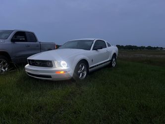 2008 Ford Mustang