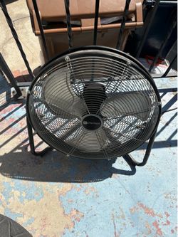 Fan