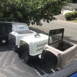 Small Dog Cat Rabbit Bunny Kennel Crate Carrier Like New 24" L by 14” W by 14” $25 Each