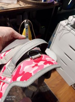 Dog harness