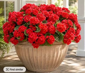 12 Bundles artificial Silk Geraniums Red Flower UV Resistant Look Real Faux Plants for Front Door Garden Porch Planter Patio Balcony Yard Indoor Home 