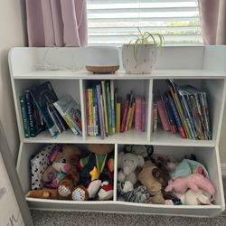 Bookcase/toy Storage 