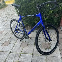 Tommaso Monza Blue 