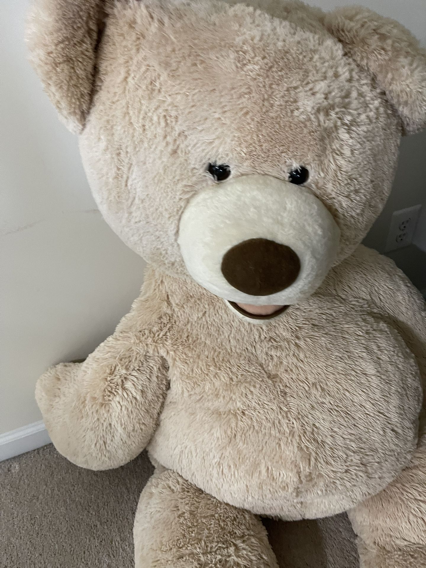 Teddy Bear For Sale 