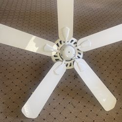 Ceiling Fans