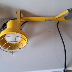 PHOENIX HANGING SWINGING LIGHT