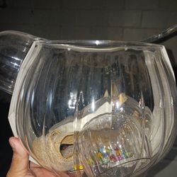 Holiday Punch Pumkin ,with Ladle,cups And Ribbon For Presentation  Never Used