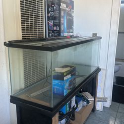 60 Gallon Fish tank & Stand