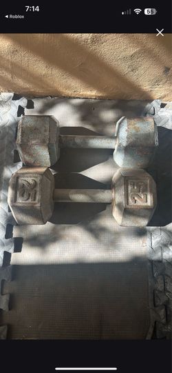 25lb dumbbells