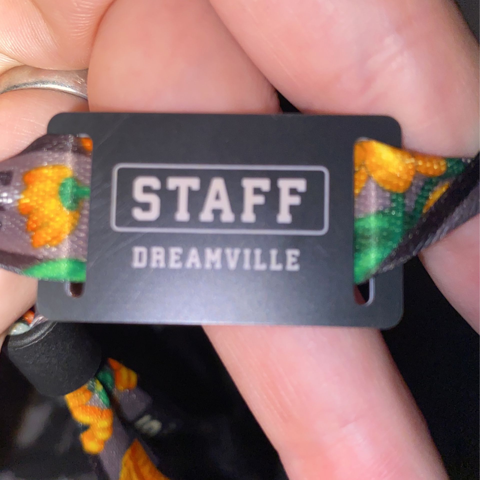 VIP Raleigh DREAMVILLE STAFF PASS FOR TOMORROW 
