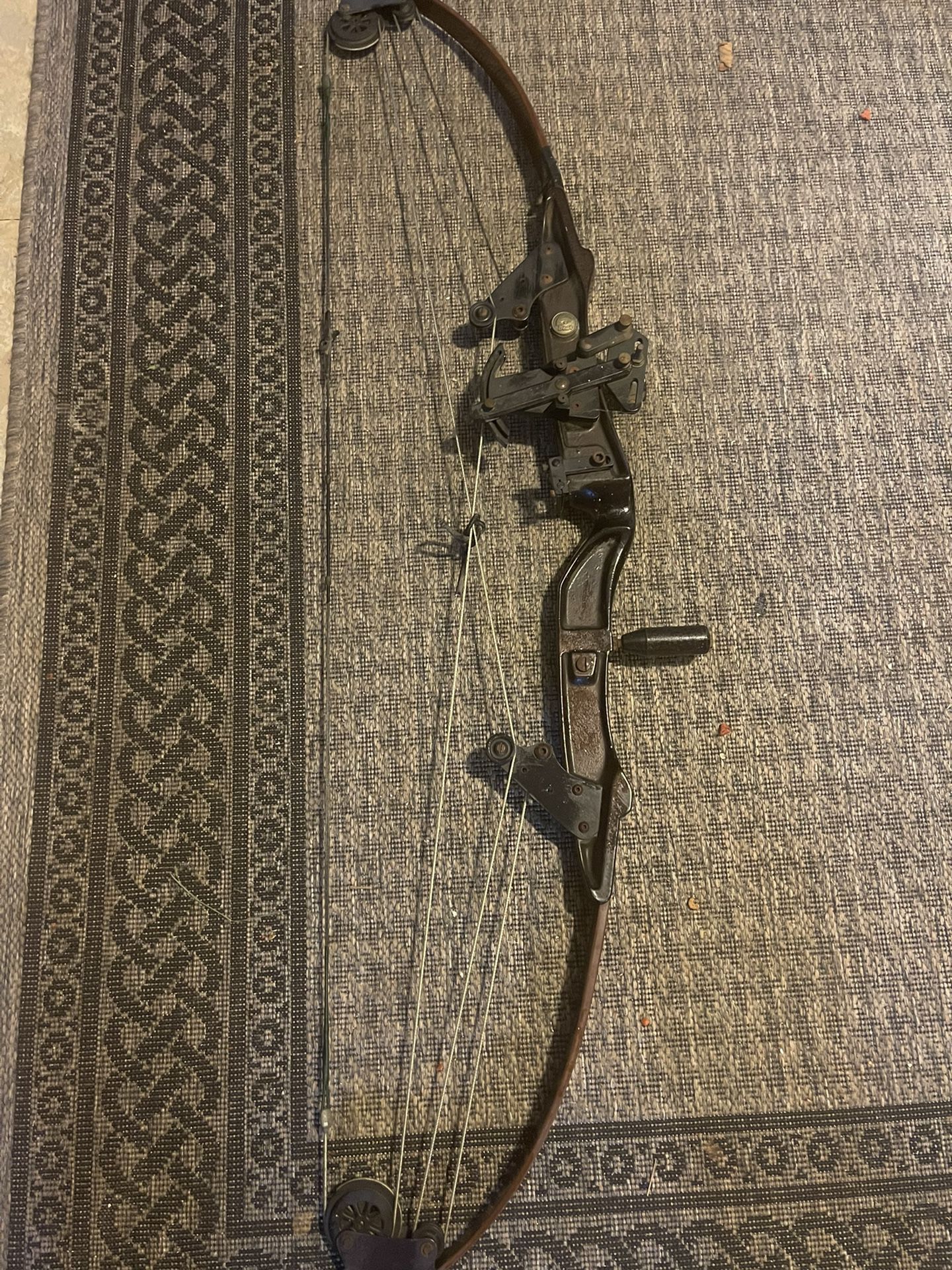 Compound Bow For Sale 
