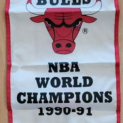 BULLS MINI CHAMPIONSHIP BANNER!