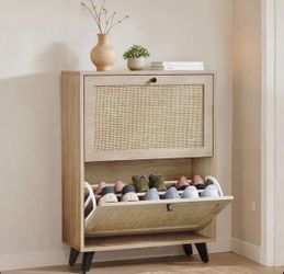 Wayfair shoe cabinet
