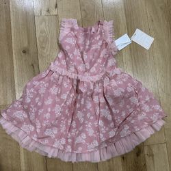 Pink Dress Size 2T Mia & Emma