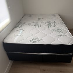 Full Mattress / Box Spring & Frame 