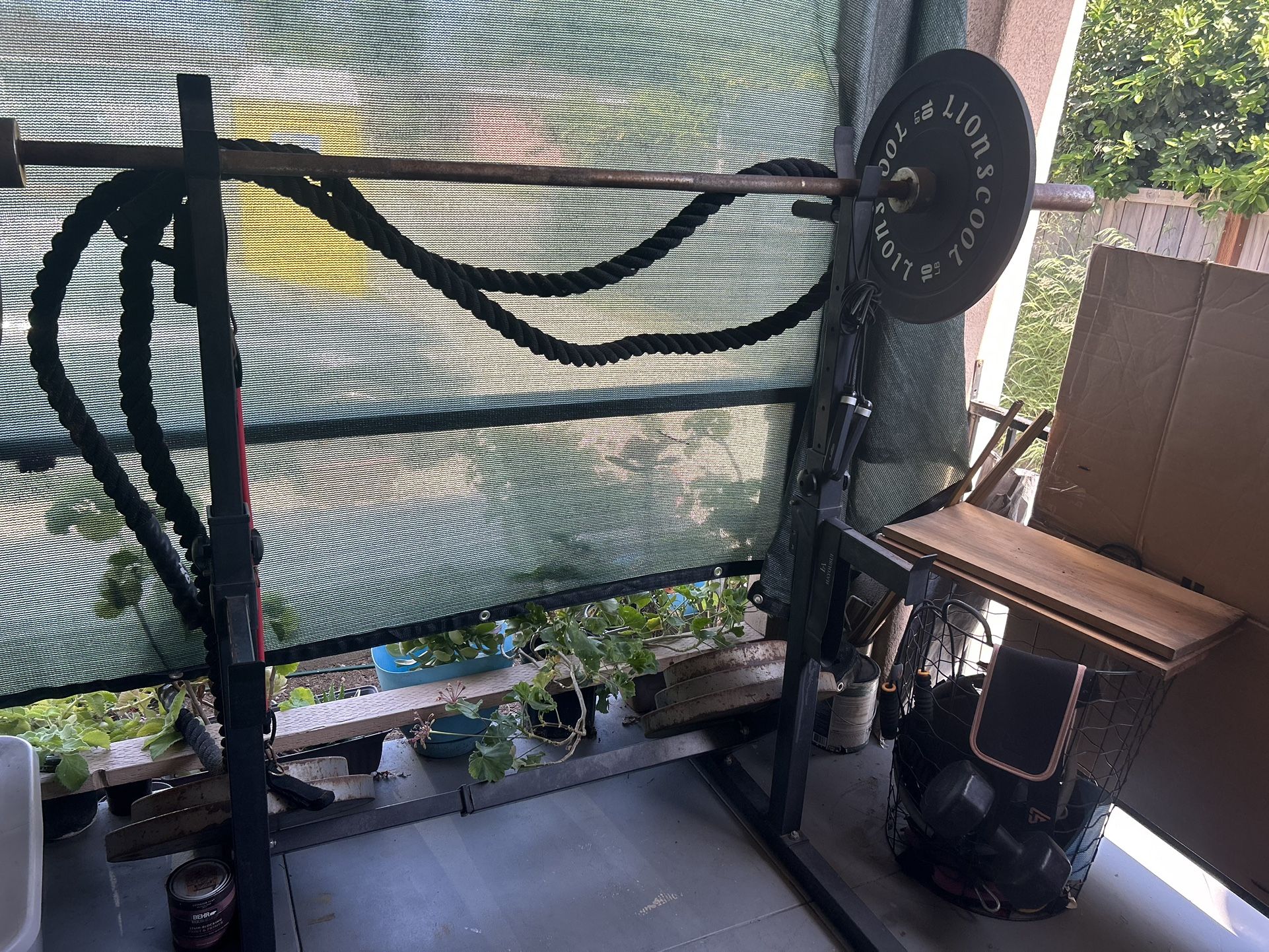 Squat Rack Workout Bench Set Workout Rope Hip Thrust Belt Dumbbells $250