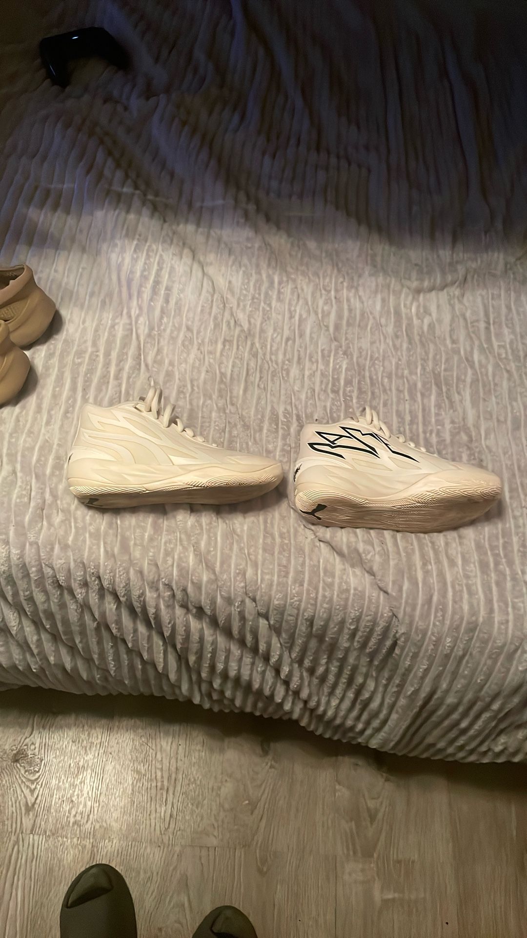 Lamelos Pumas