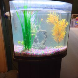 20 Gallon Fish Tank & Stand For Sale
