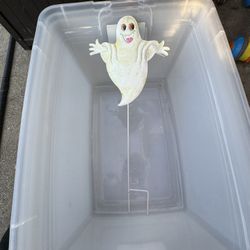 Halloween Decoration