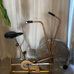 Vintage Schwinn Air-Dyne Stationary Exercise Bike