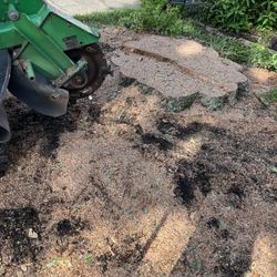 Stump Grinding 