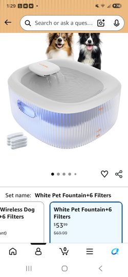 Electric water dog bowl