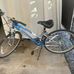 Schwinn Trail Way Bicycle NICE