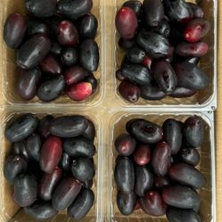 Java Plum Fruits Organic Fresh Pick