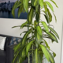 Pretty Artificial 7 FT Tall Plant With Tall White Planter! Brand New