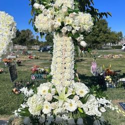 Roses/Dia De Las Madres/mothers Day/valentine's Day