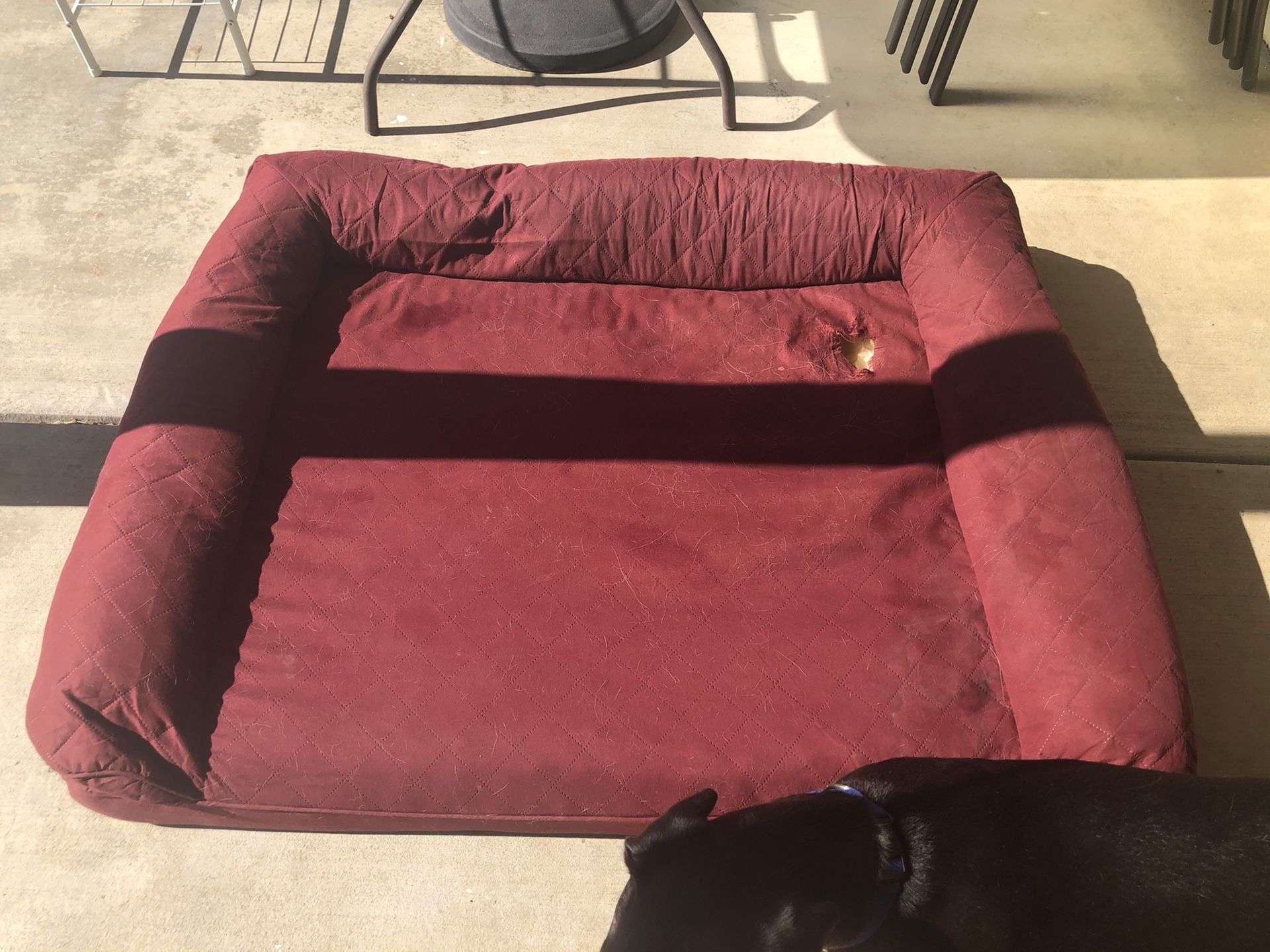 FREE- extra large dog bed