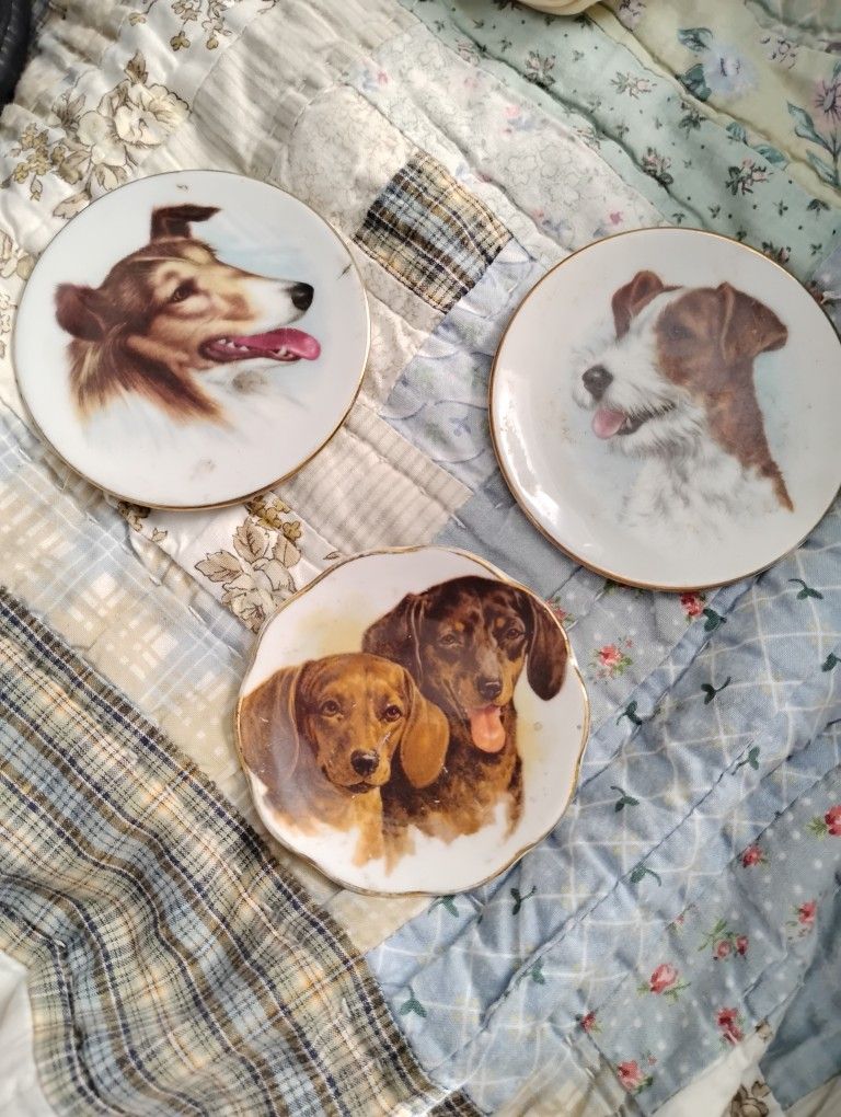 Collector's Bone China Mini Plates
